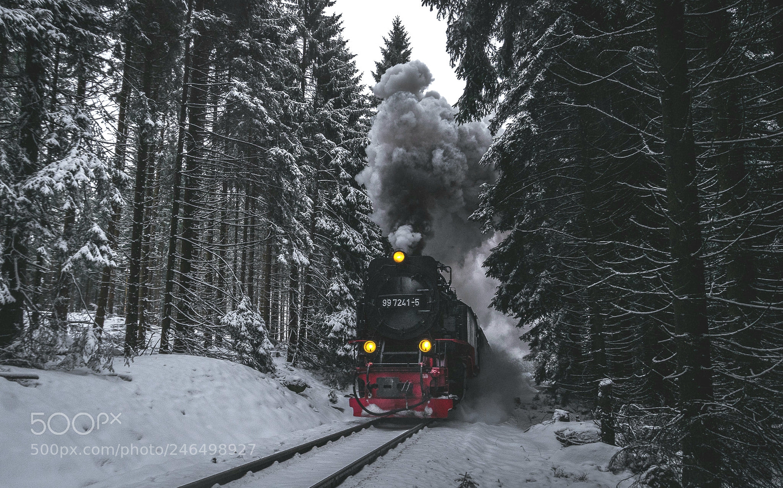Sony a7R sample photo. Polar express photography