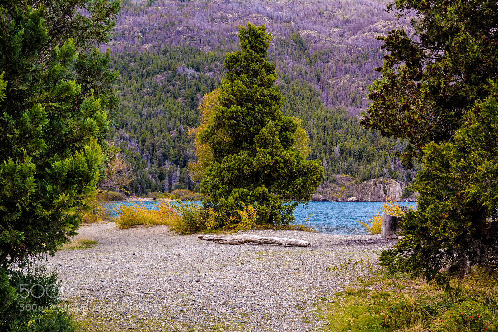 Nikon D5200 sample photo. Lago puelo photography