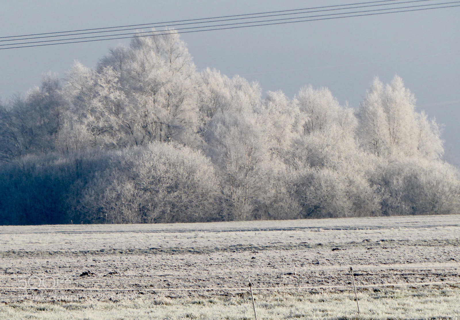 Panasonic DMC-TZ71 sample photo. K lte, sonne und photography