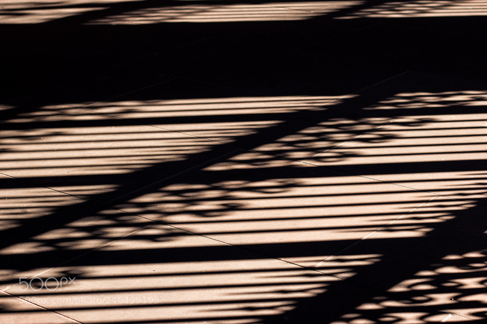 Canon EOS 60D sample photo. Shadowhunter photography