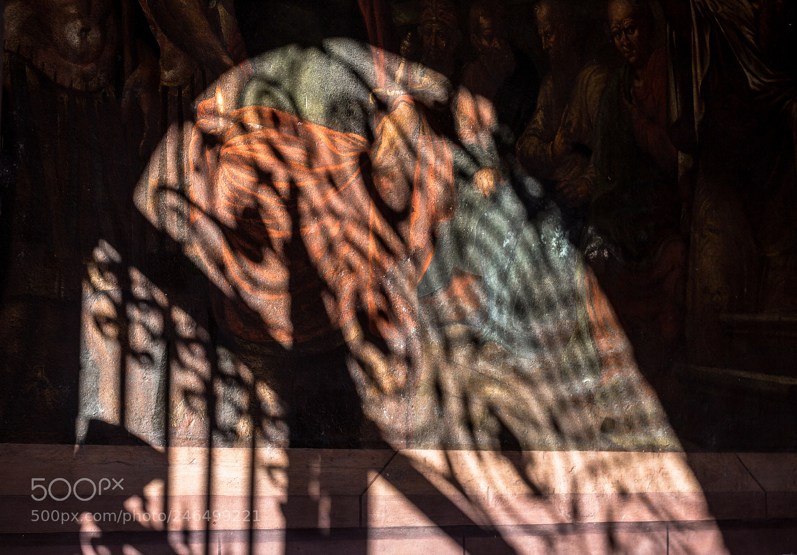 Canon EOS 60D sample photo. Hiding in the shadows photography