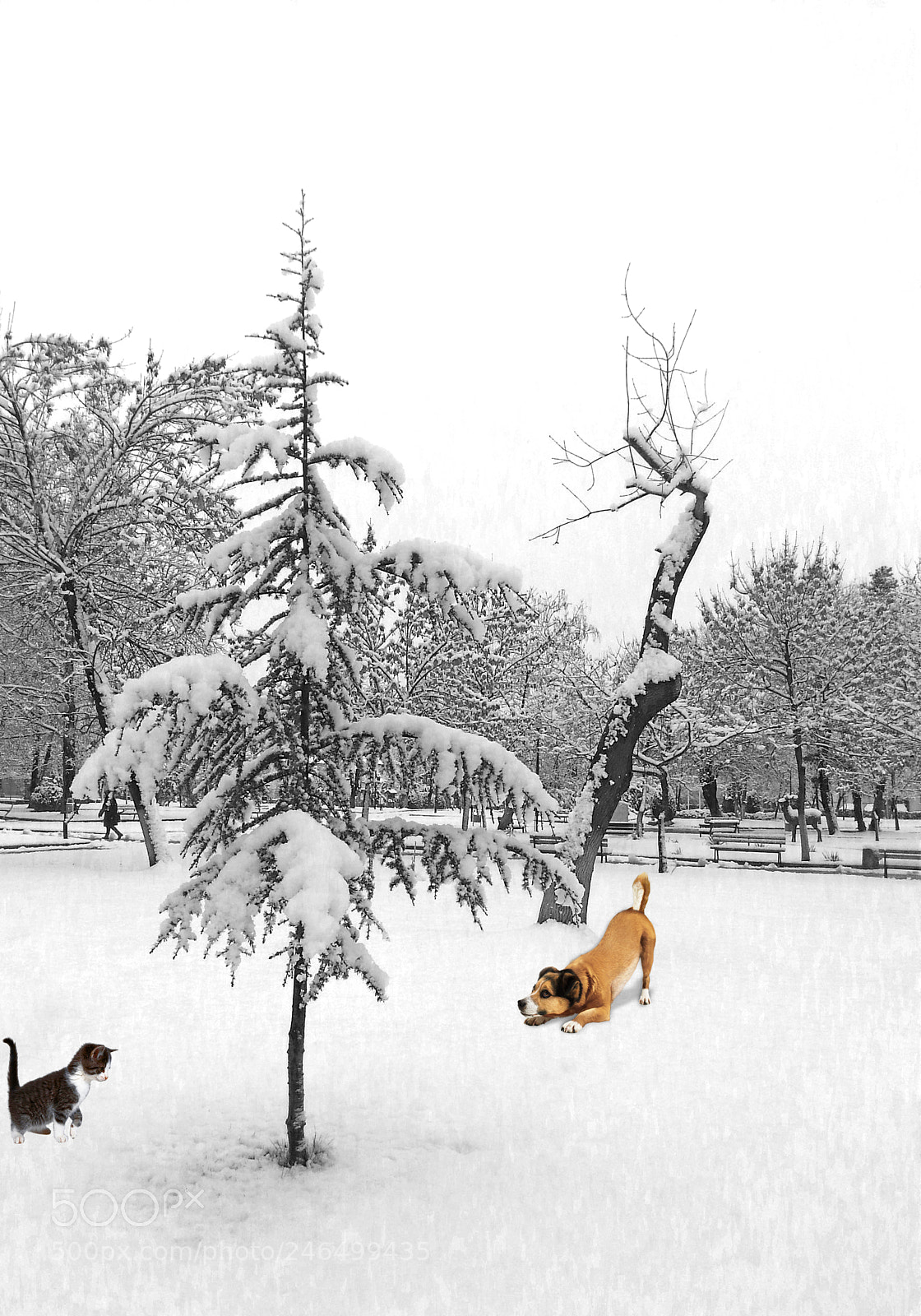 Samsung Galaxy Note2 sample photo. Winter photography