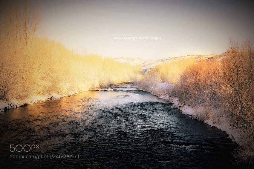 Nikon D3200 sample photo. "bernesga river..." photography