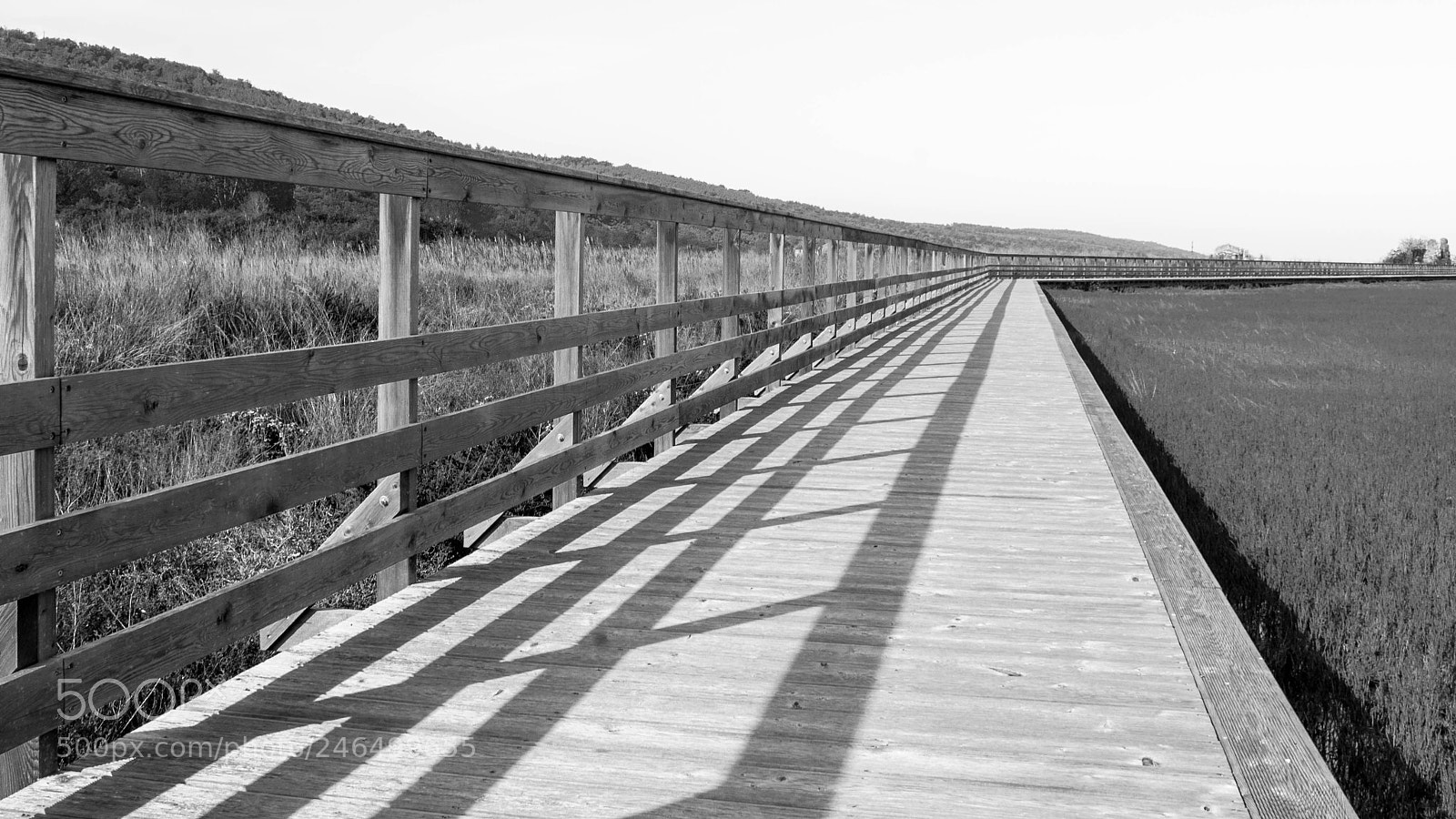 Sony Alpha DSLR-A700 sample photo. Shadows on the way photography
