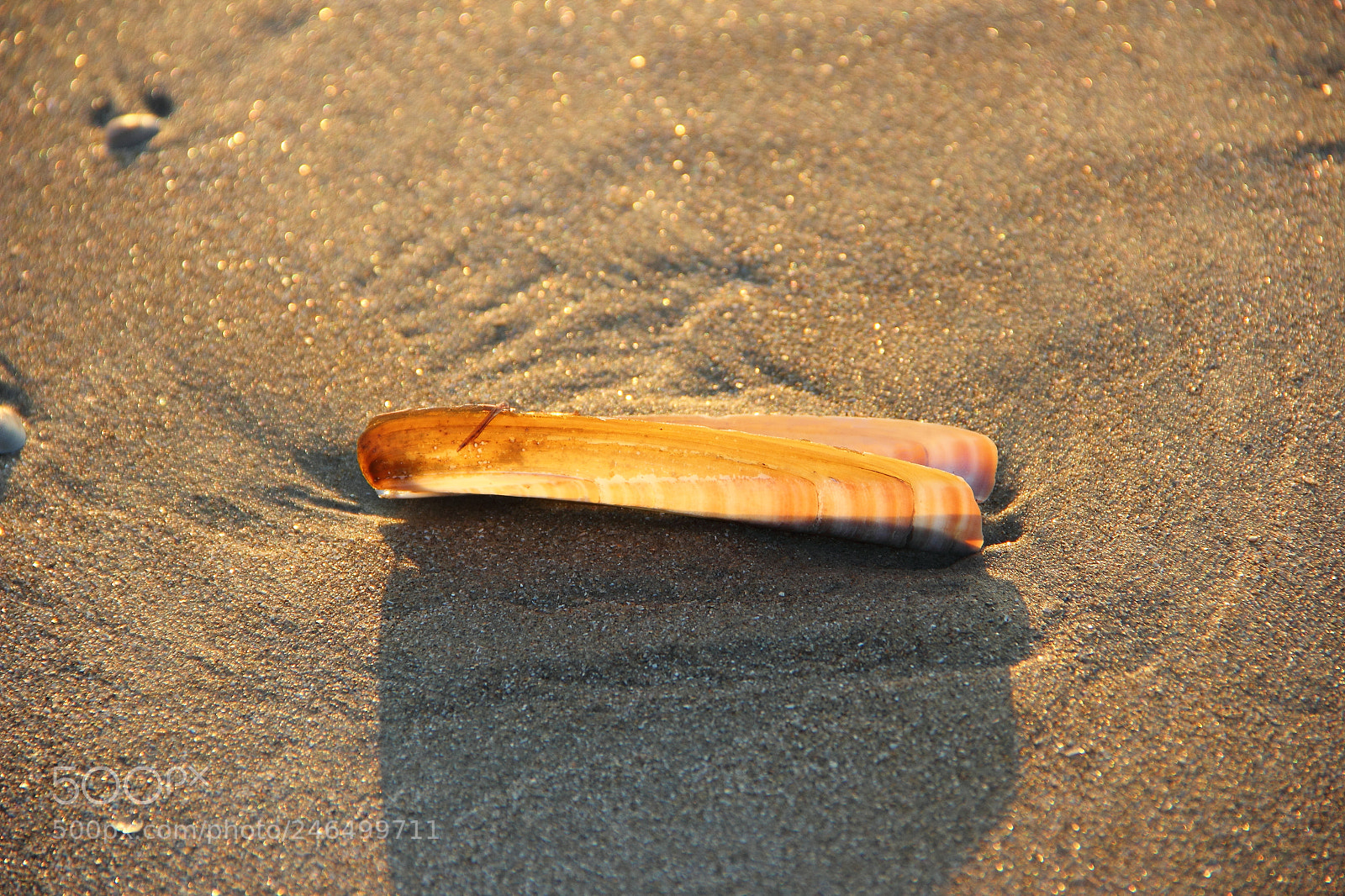 Canon EF-S 18-135mm F3.5-5.6 IS sample photo. Img dpi photography