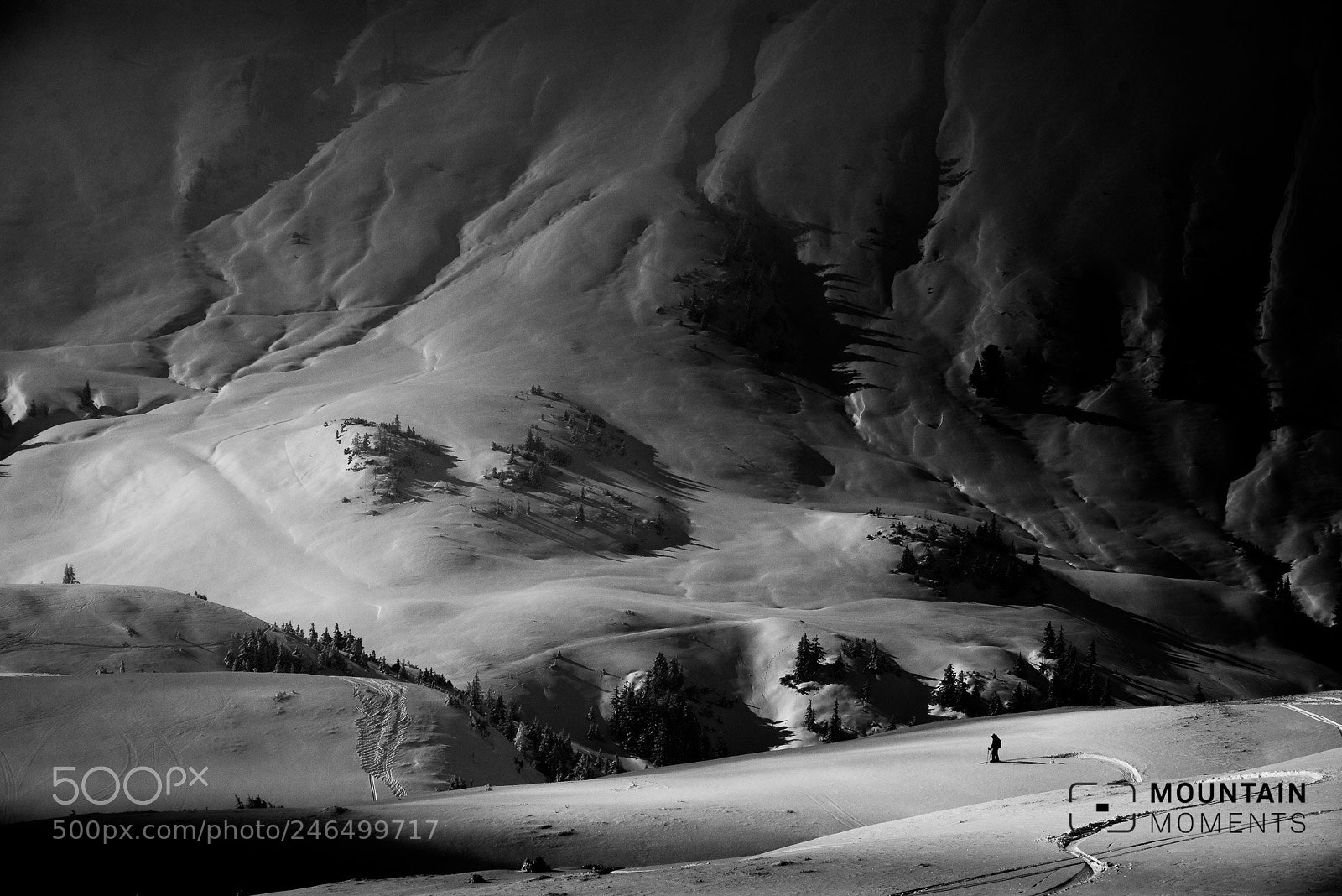 Nikon D610 sample photo. Just skiing photography