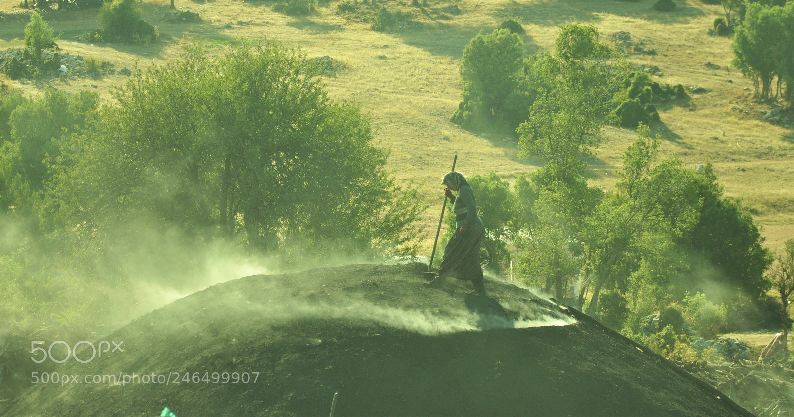 Nikon D90 sample photo. Kurdish charcoal workers photography