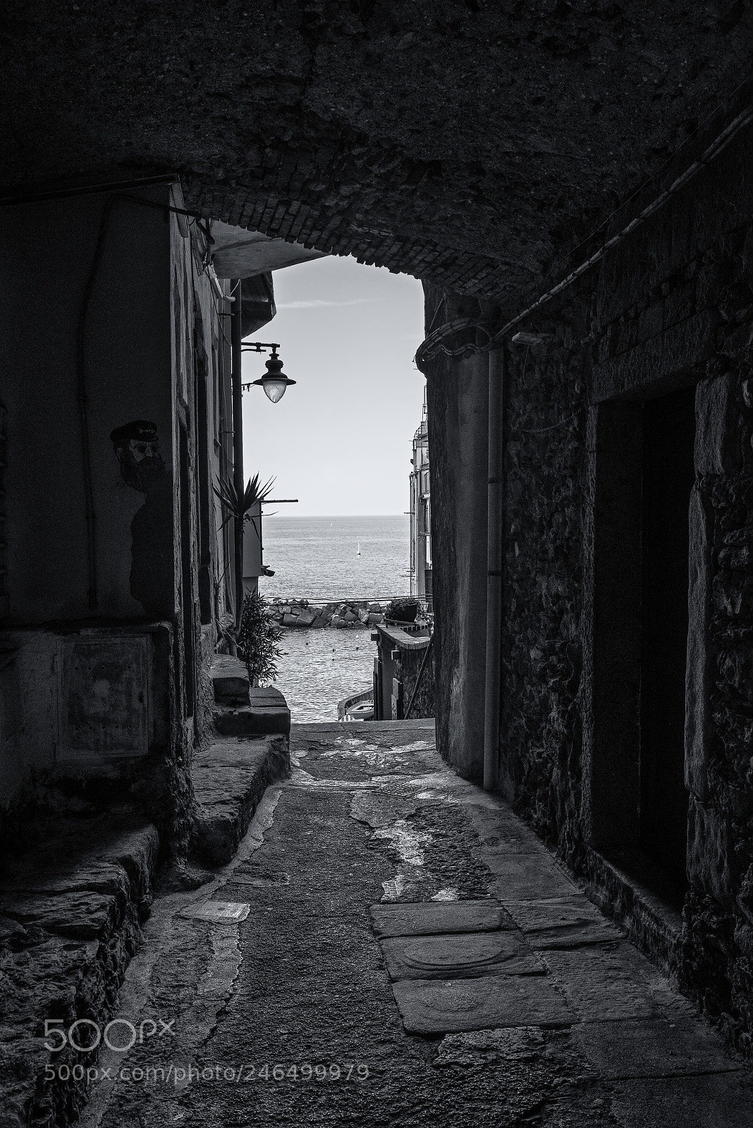 Nikon D800 sample photo. Riomaggiore-fivelands photography