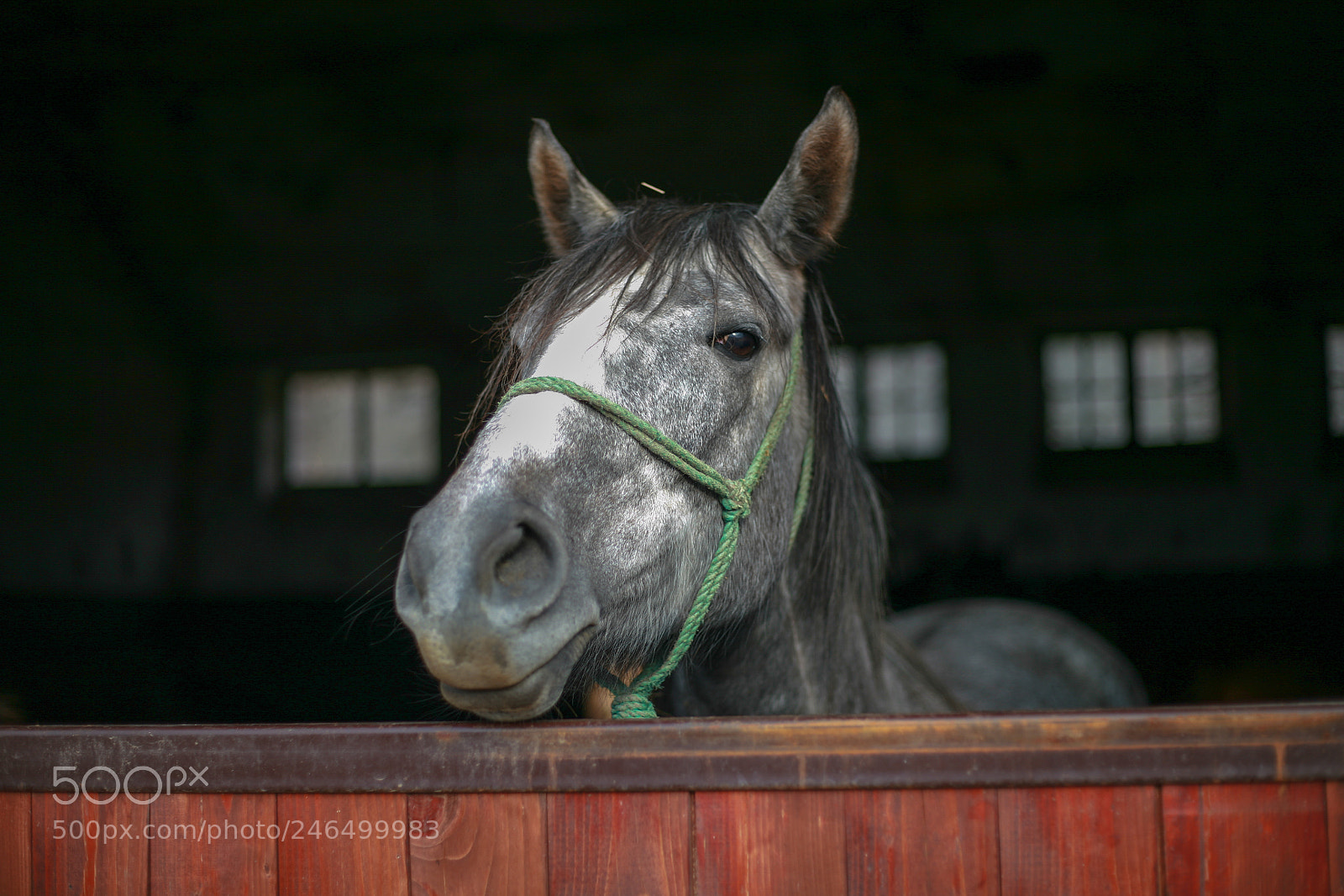 Canon EOS 5D sample photo. Did you bring some photography