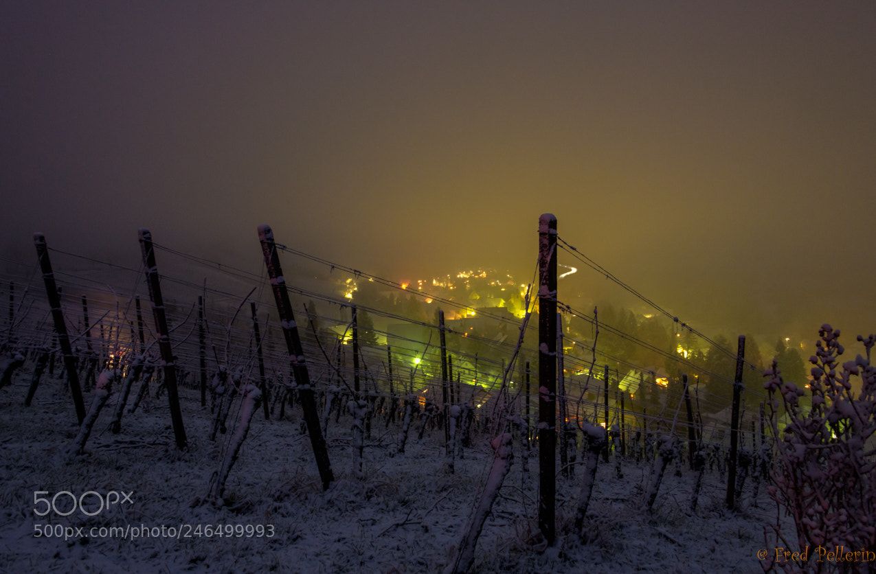 Nikon D850 sample photo. Vignes enneigées photography