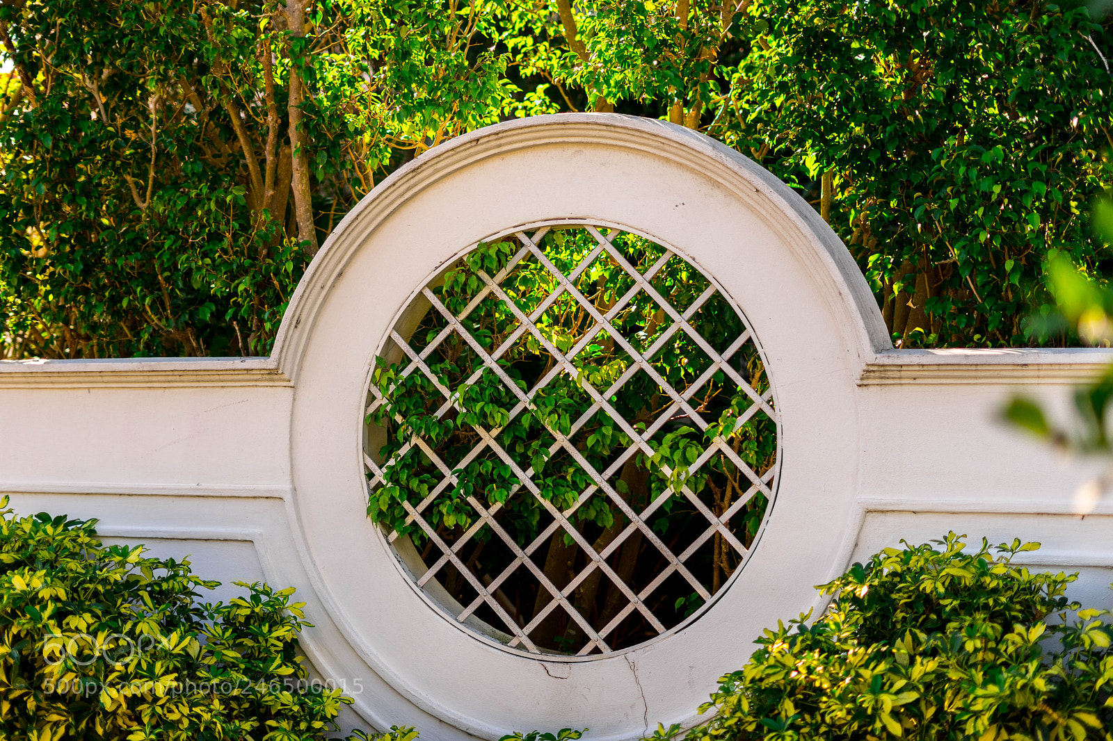 Sony a7 sample photo. Sun light photography