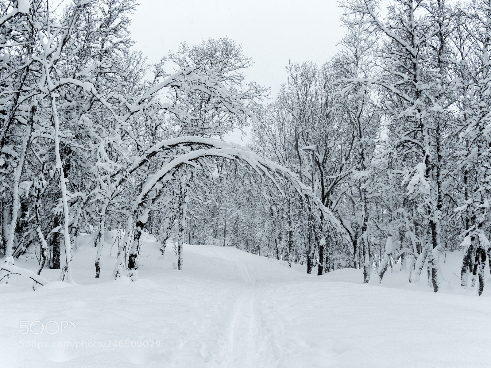 Olympus OM-D E-M10 sample photo. Snowy tromso photography
