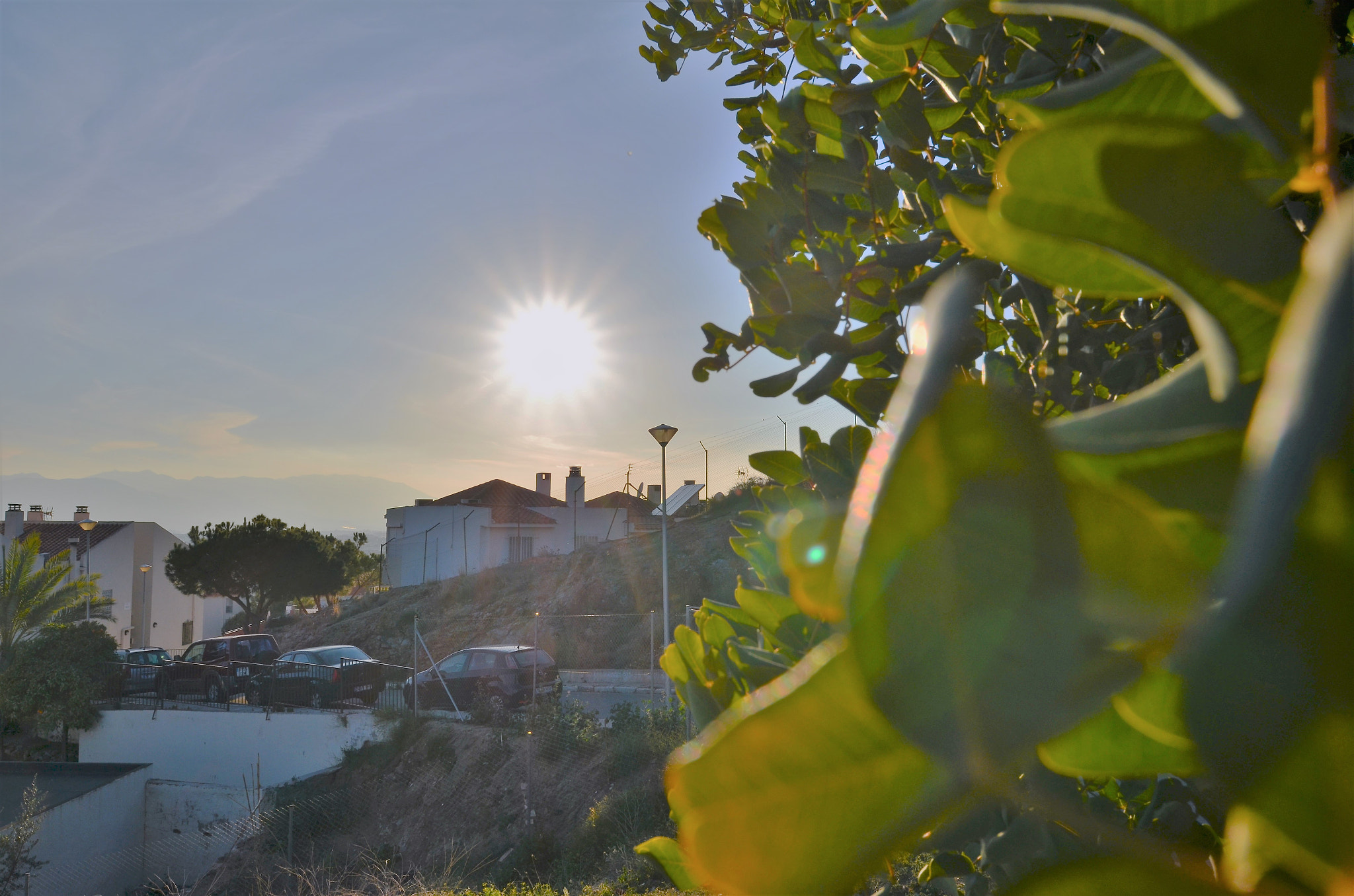 Nikon D5100 sample photo