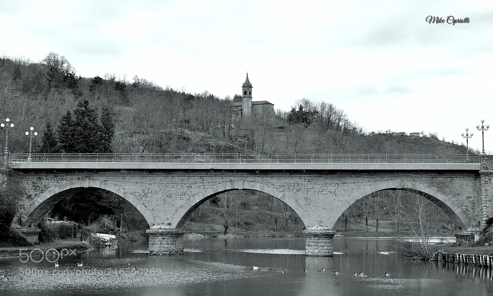 Nikon D3200 sample photo. Untitled photography