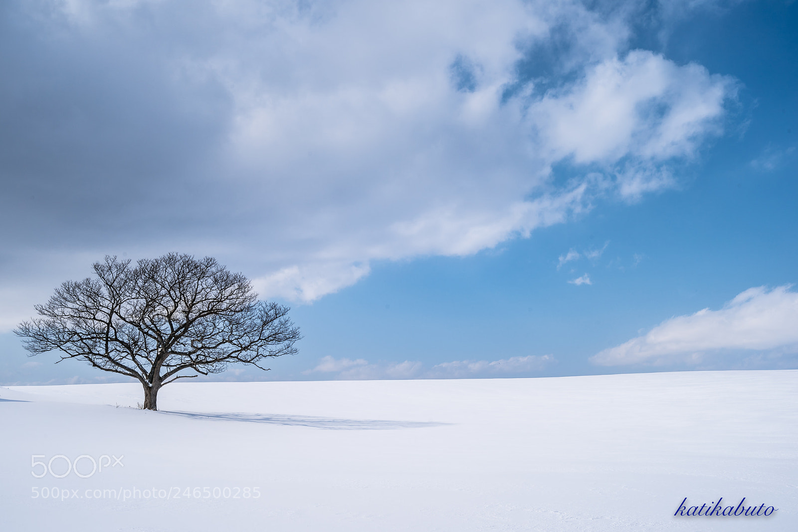 Sony a9 sample photo. After a snowfall photography