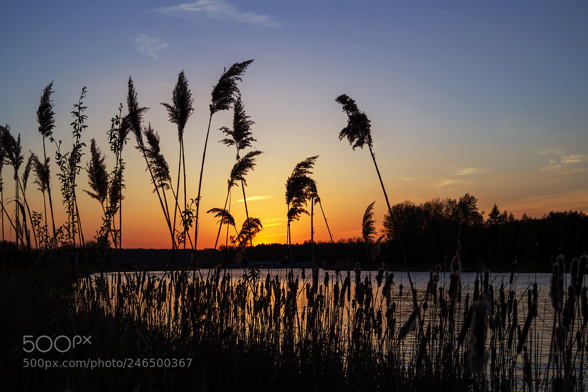 Sony SLT-A37 sample photo. Dusk photography