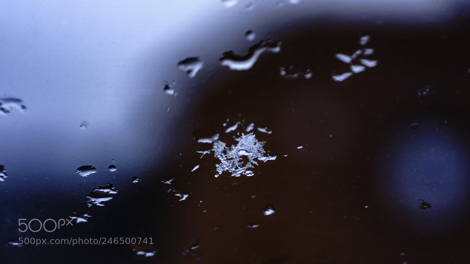 Sony a7 II sample photo. Schneeflocke photography