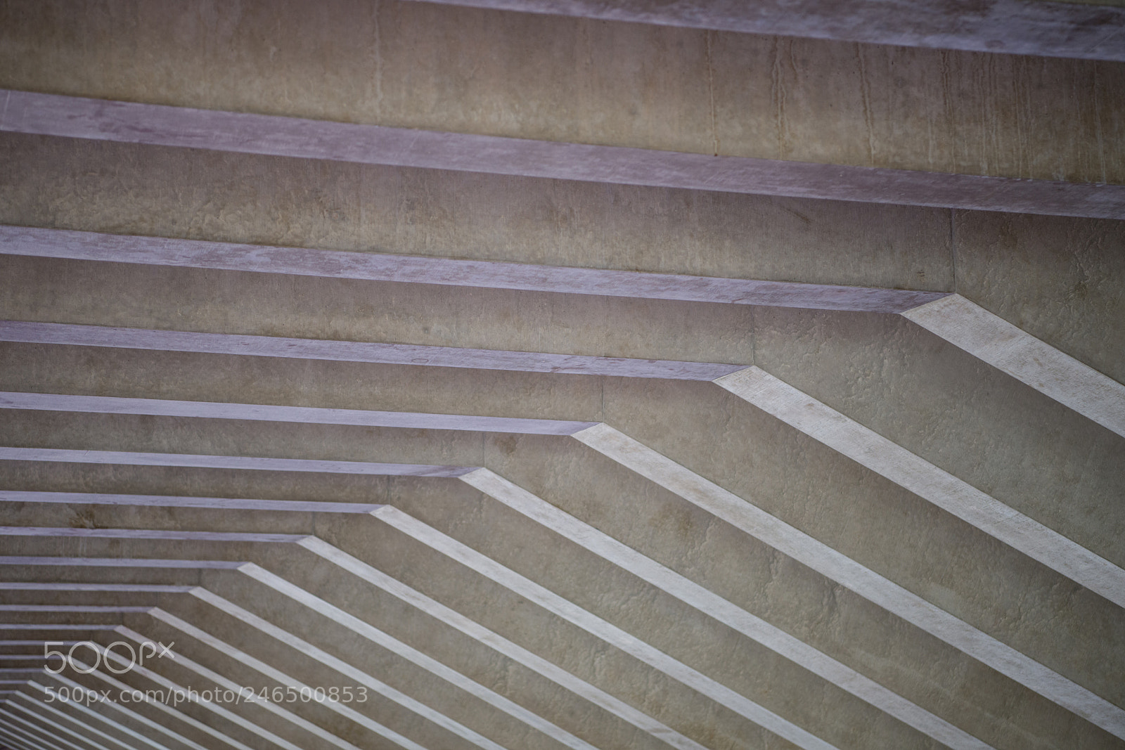 Nikon D800 sample photo. Standing straight photography