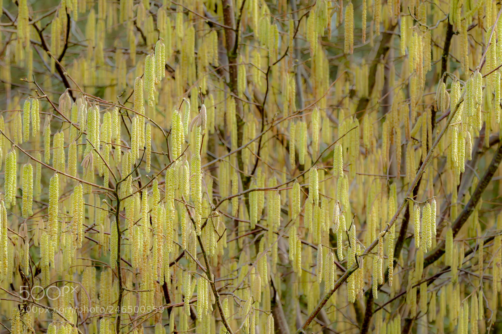 Panasonic Lumix DMC-FZ1000 sample photo. Abstract photography