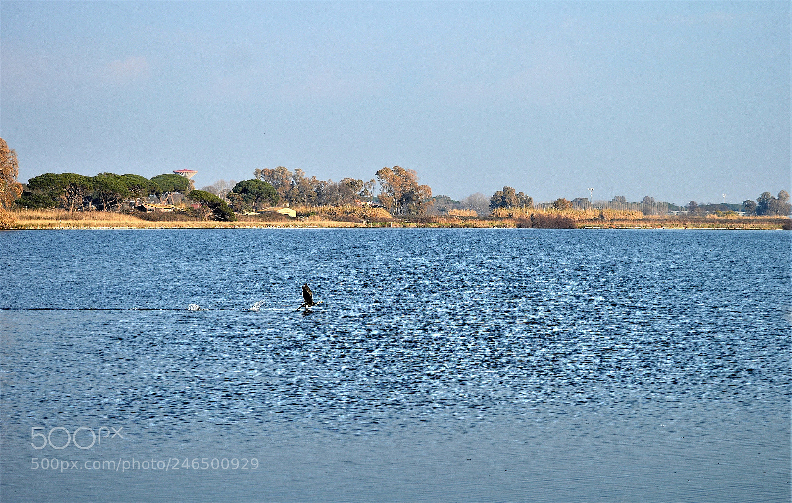 Nikon D3200 sample photo. Take-off phase photography