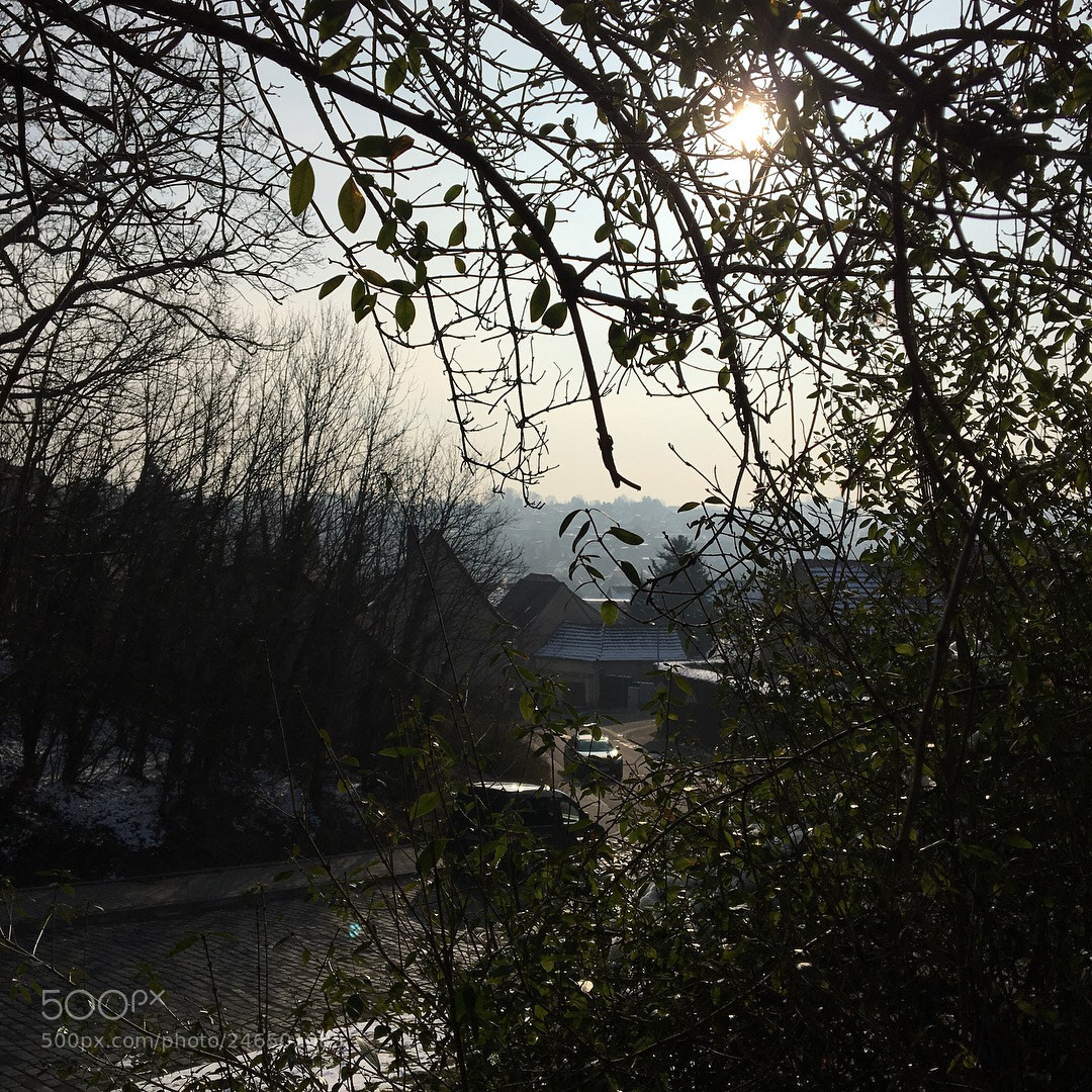 Apple iPhone 6s sample photo. Untitled photography