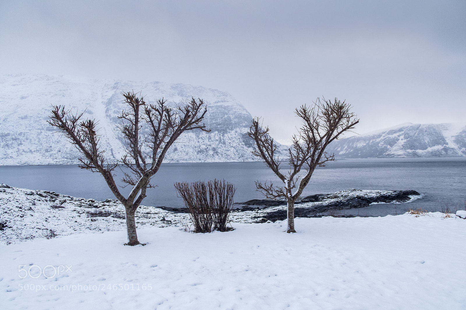 Canon PowerShot G5 X sample photo. Winter by the fjord photography
