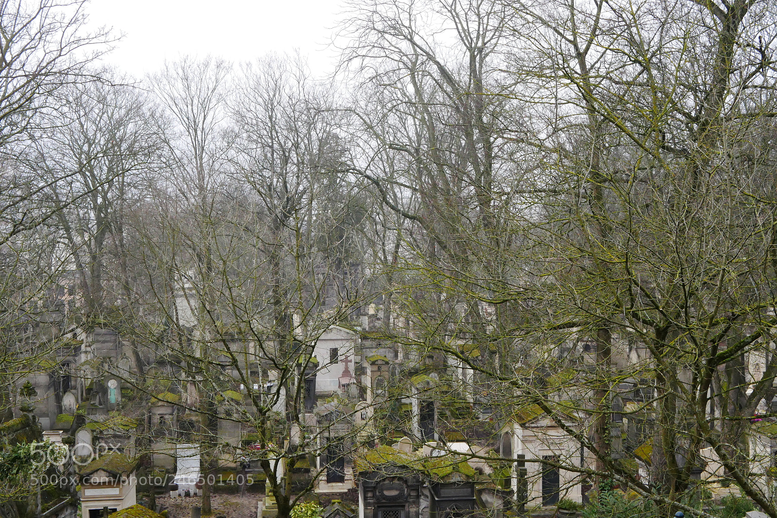 Panasonic Lumix DMC-GX85 (Lumix DMC-GX80 / Lumix DMC-GX7 Mark II) sample photo. Père lachaise cemetery photography