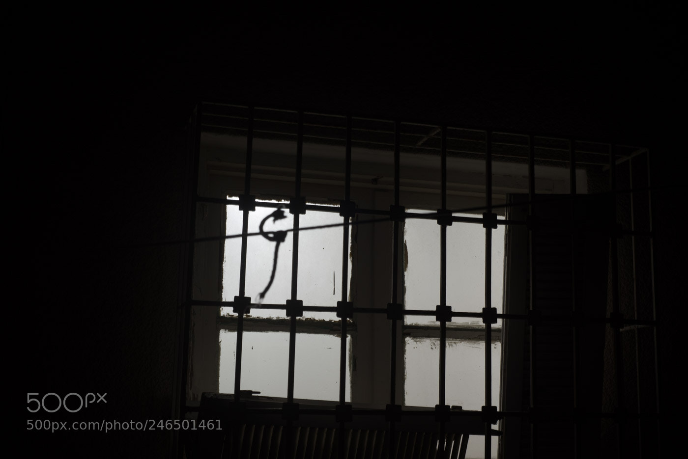 Nikon D610 sample photo. That window photography