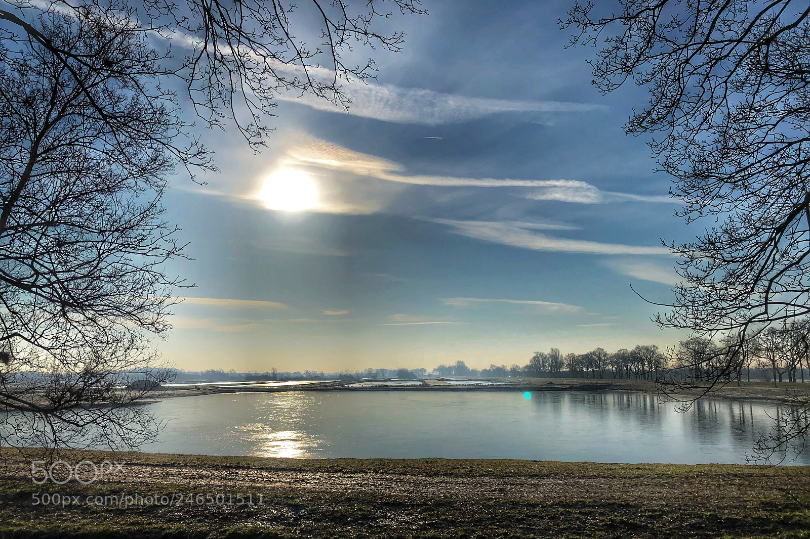 Apple iPhone X sample photo. Dutch winter sun. photography
