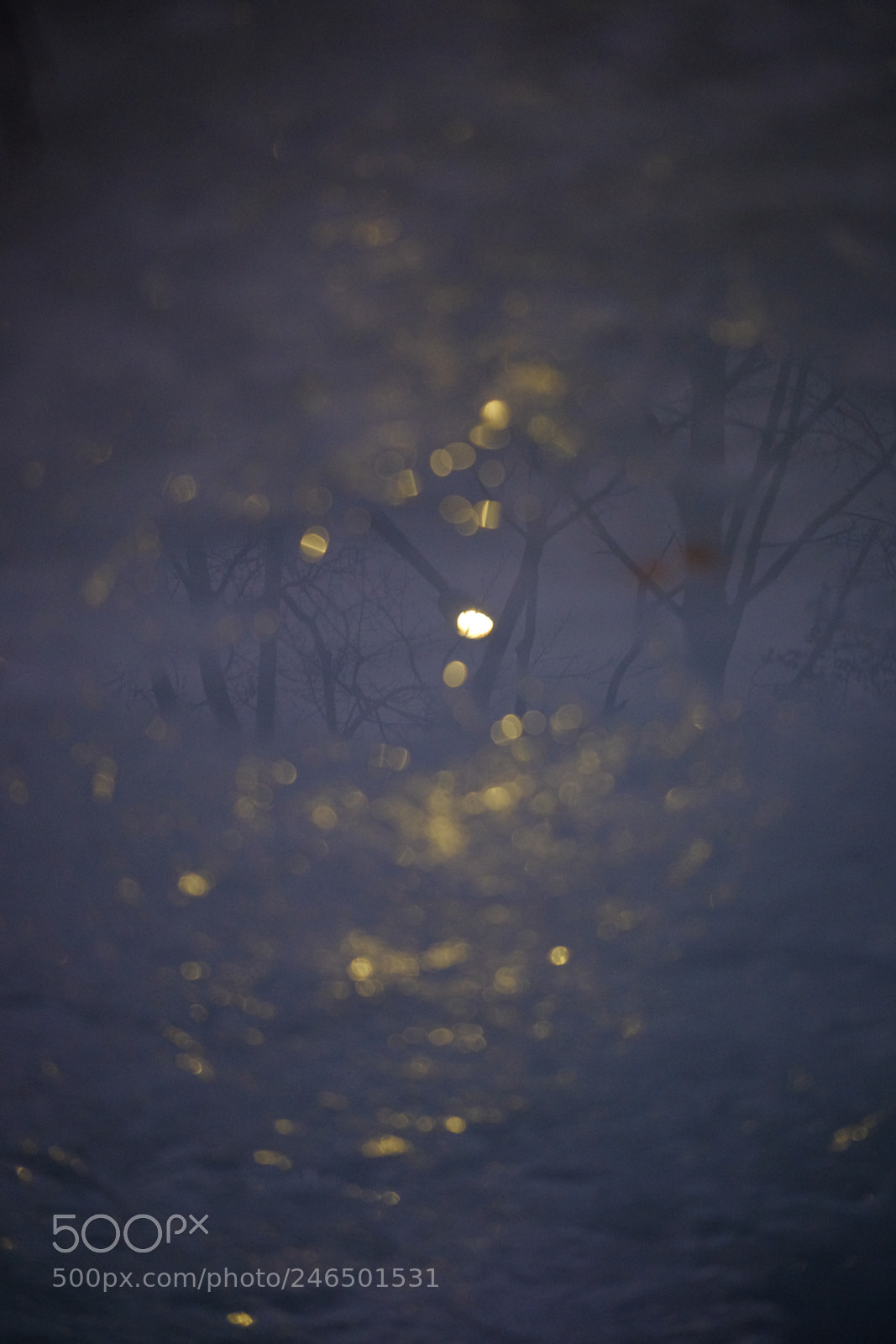 Fujifilm X-T1 sample photo. Goodbye, winter. photography