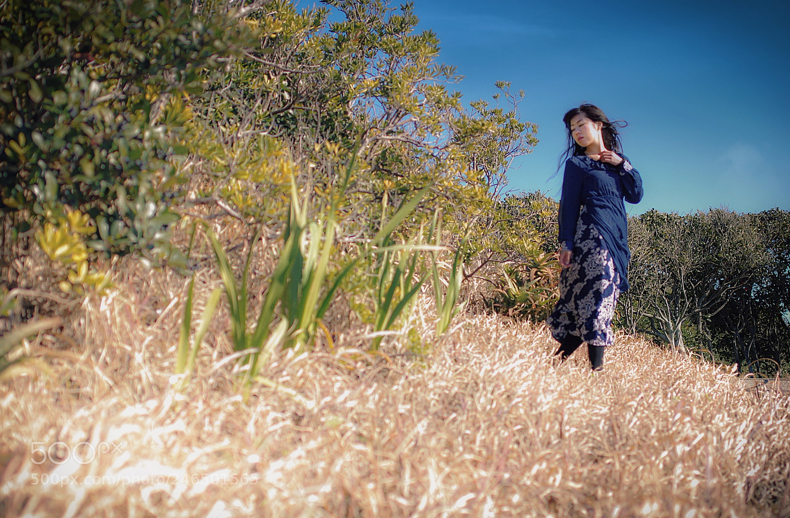 Pentax K-3 sample photo. ‪【遠い彼方へ.】‬ photography