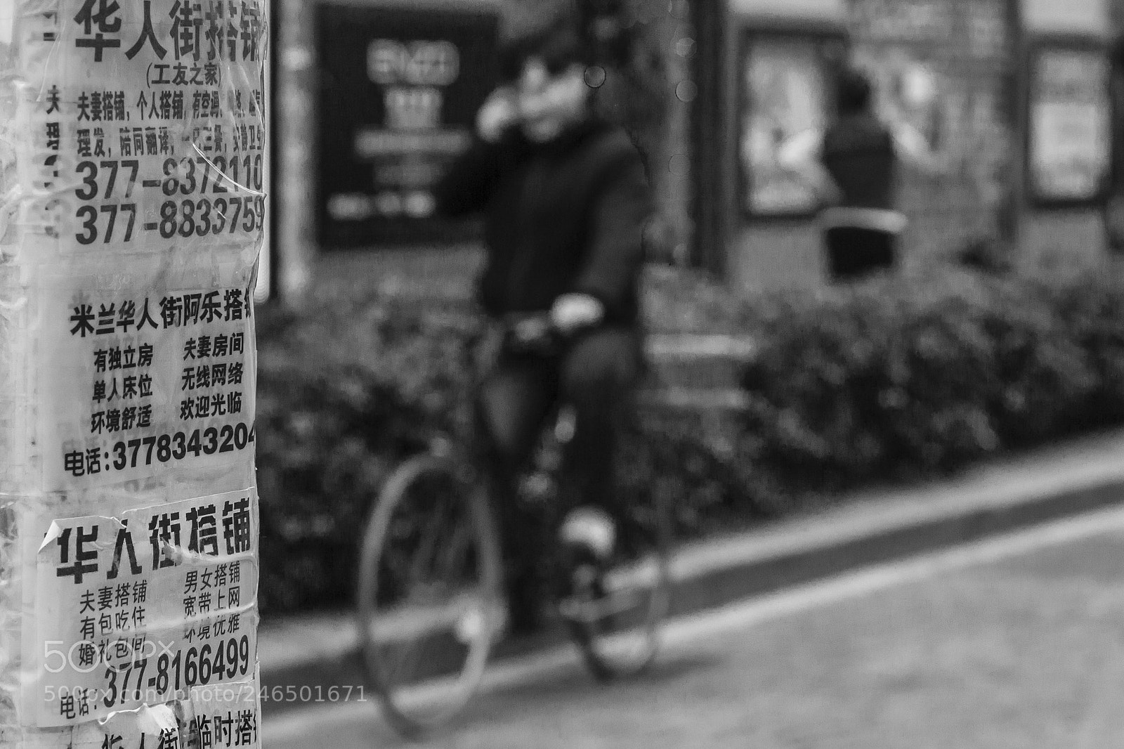 Canon EOS 600D (Rebel EOS T3i / EOS Kiss X5) sample photo. Hallo, who speaking ? photography