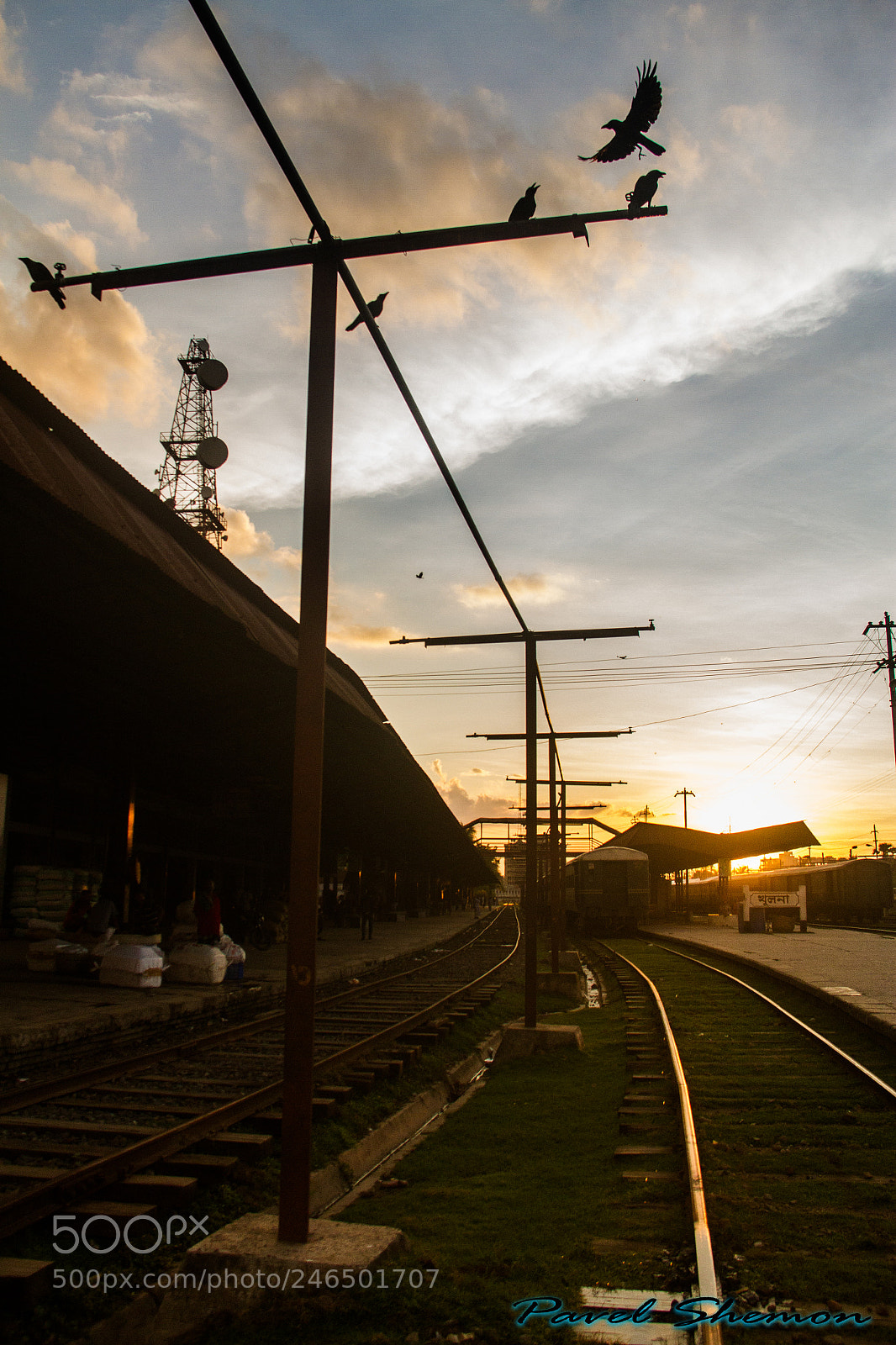 Canon EOS 7D sample photo. Returning home. photography