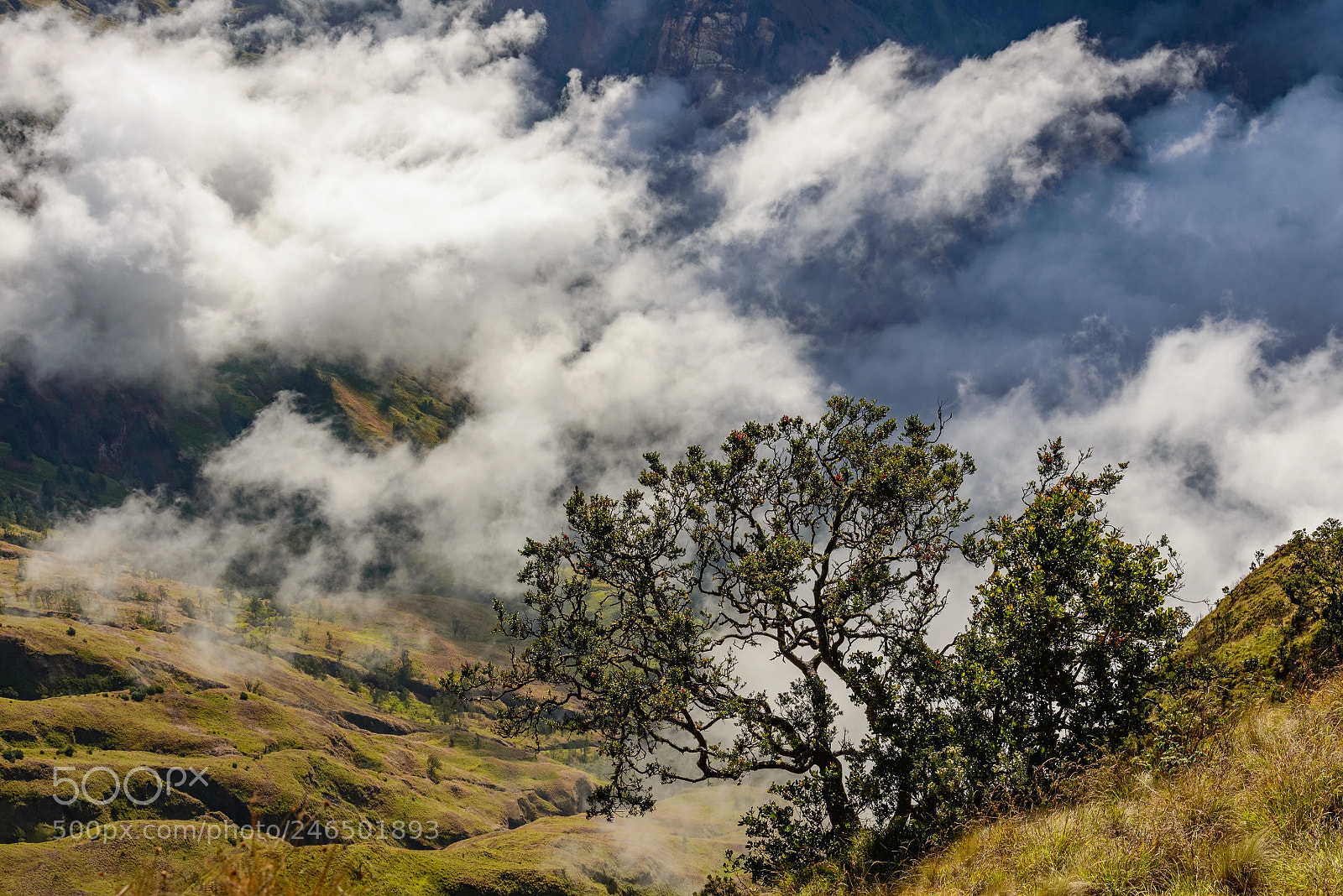 Nikon D600 sample photo. Caldera of mount rinjani photography