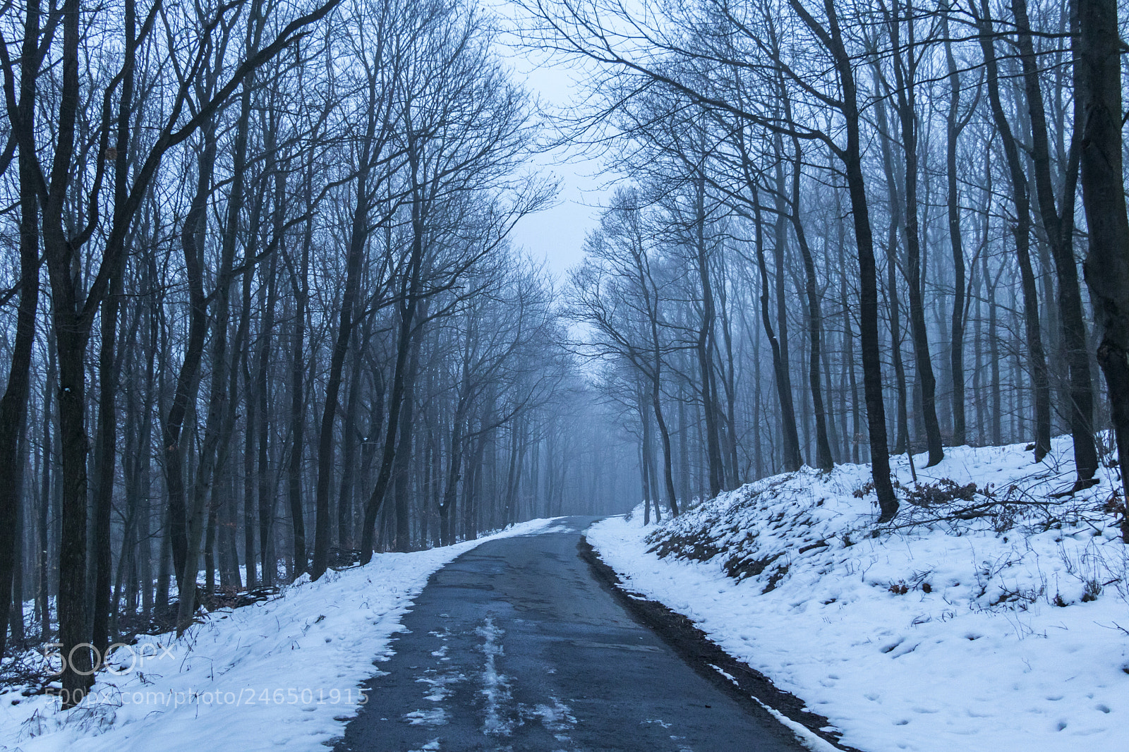 Canon EOS 750D (EOS Rebel T6i / EOS Kiss X8i) sample photo. Mountain road photography