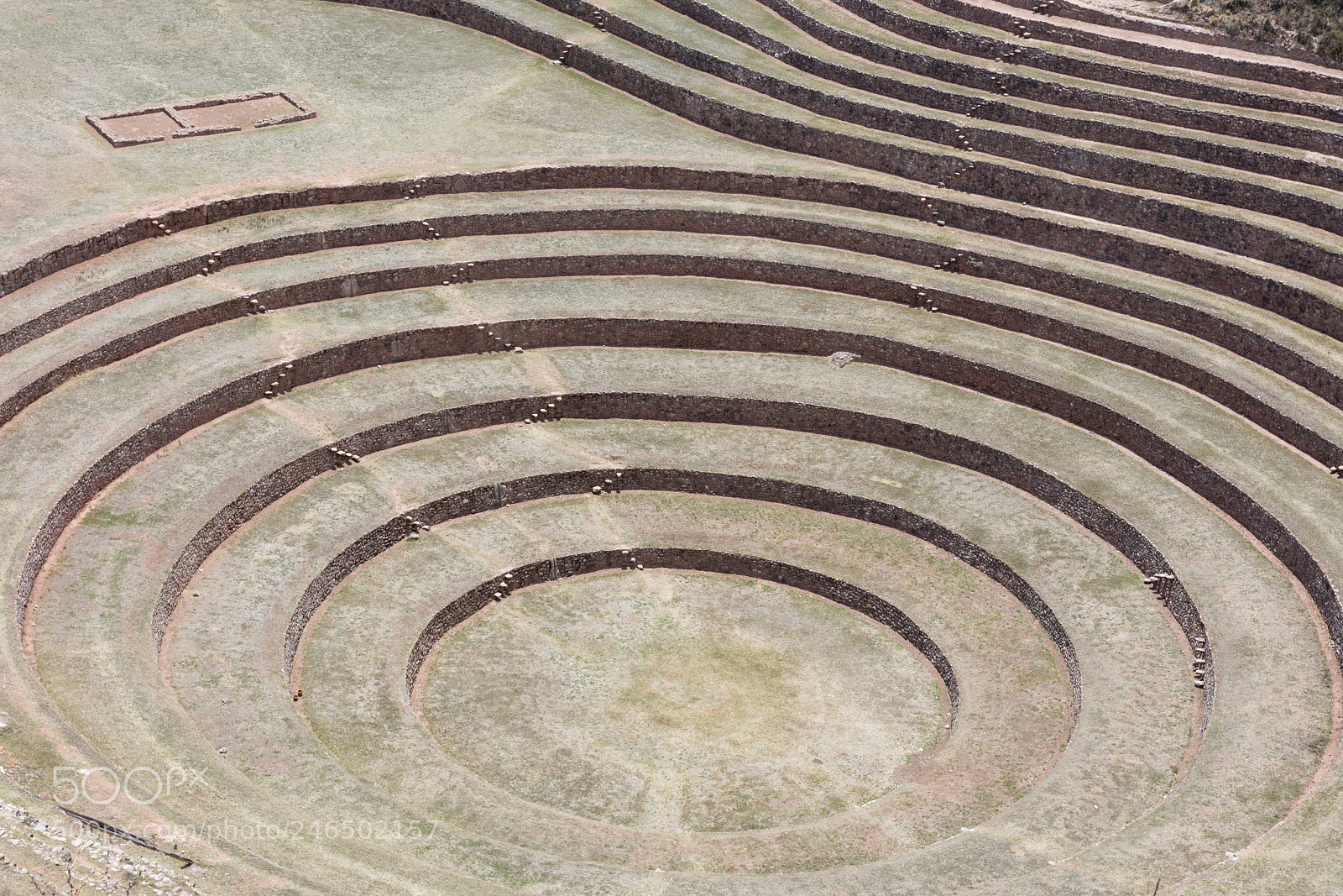 Canon EOS 5DS R sample photo. Circular terraces at moray photography