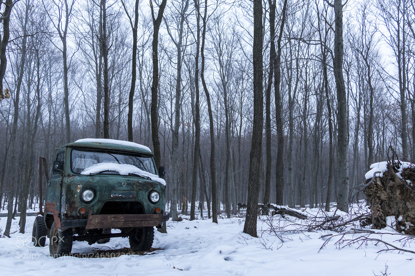 Canon EOS 750D (EOS Rebel T6i / EOS Kiss X8i) sample photo. Old truck photography