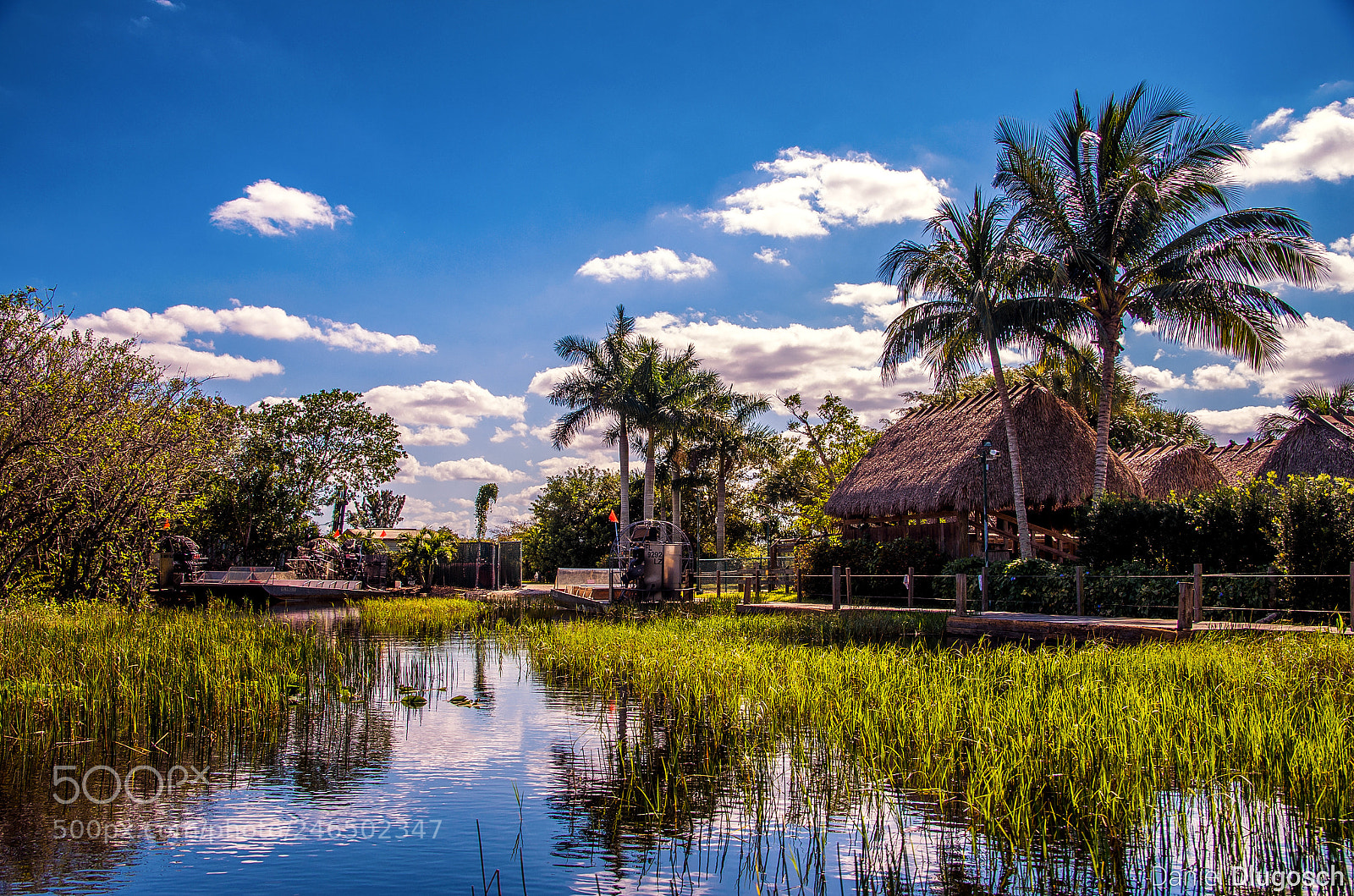 Pentax K-5 sample photo. Everglades gator park photography