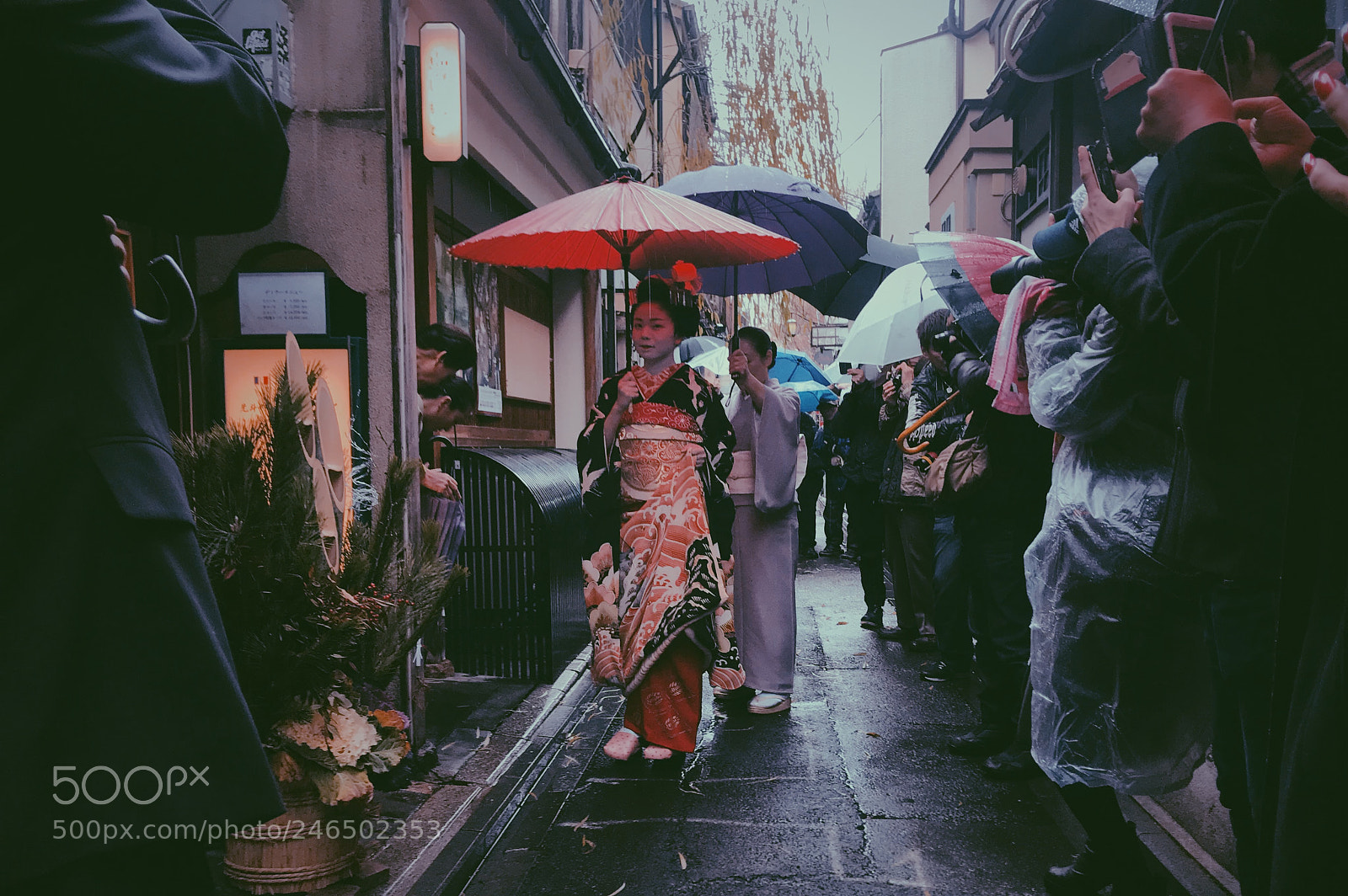 Apple iPhone 7 sample photo. Kyoto beauty. photography
