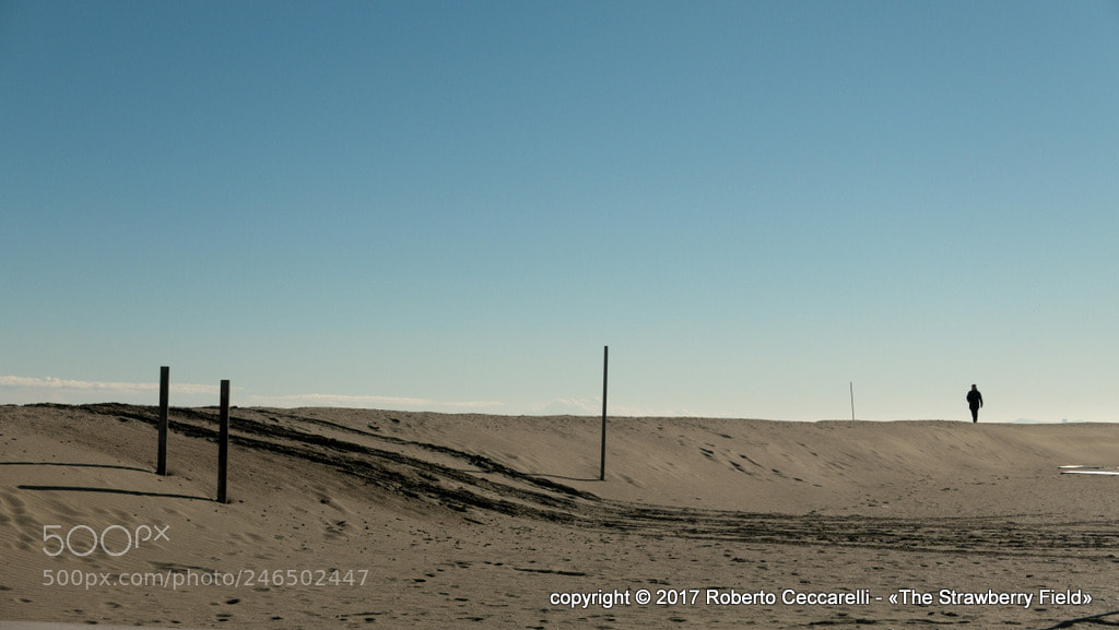 Panasonic Lumix DMC-LX100 sample photo. Cesenatico photography