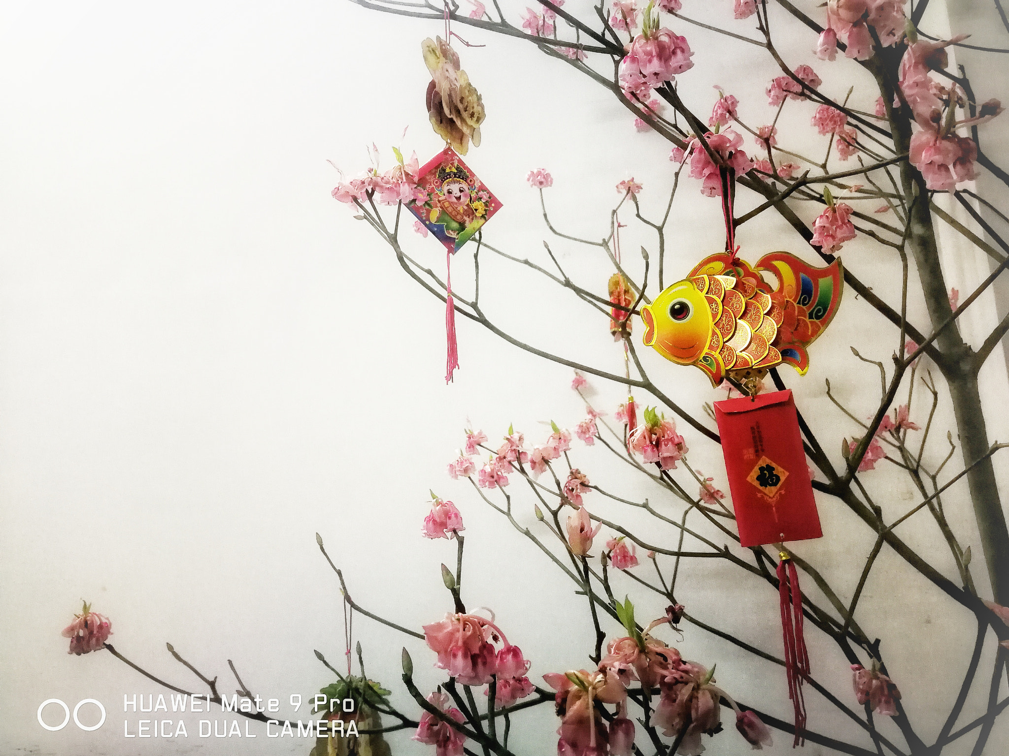 HUAWEI Mate 9 Pro sample photo