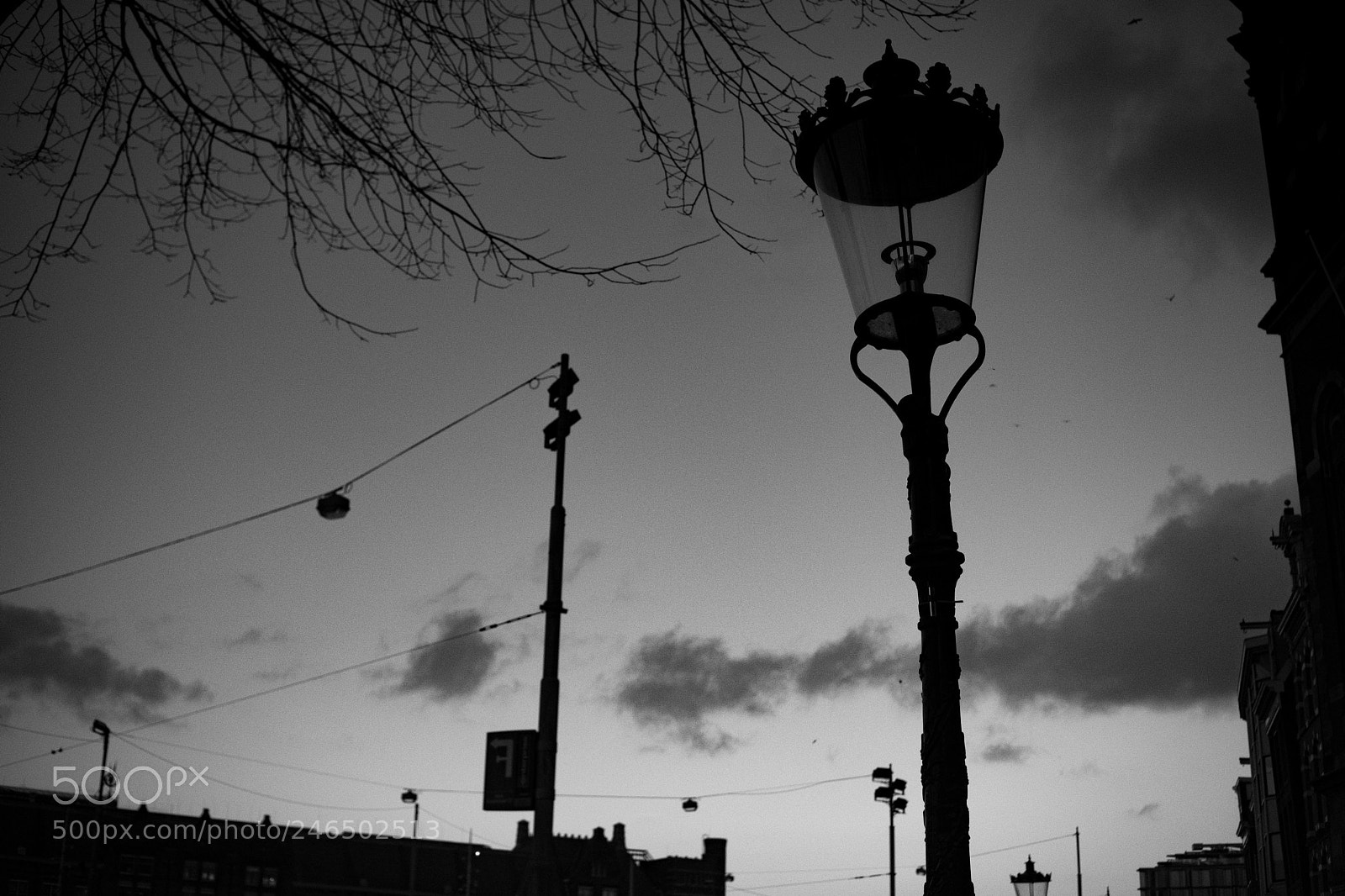 Fujifilm X-Pro2 sample photo. Lamp photography