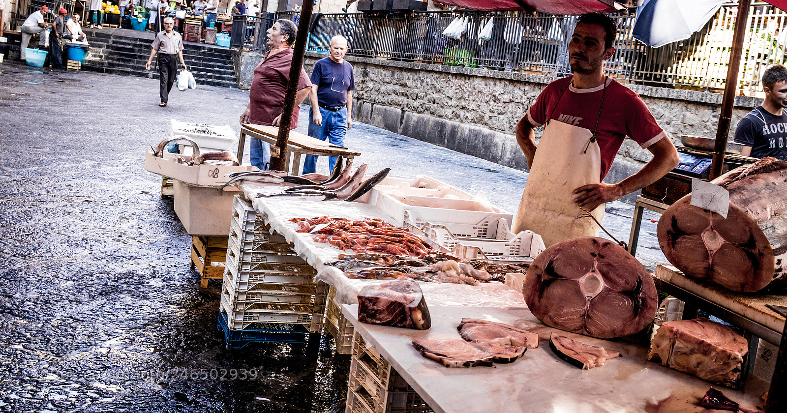 Canon EOS 60D sample photo. Catania fish market photography