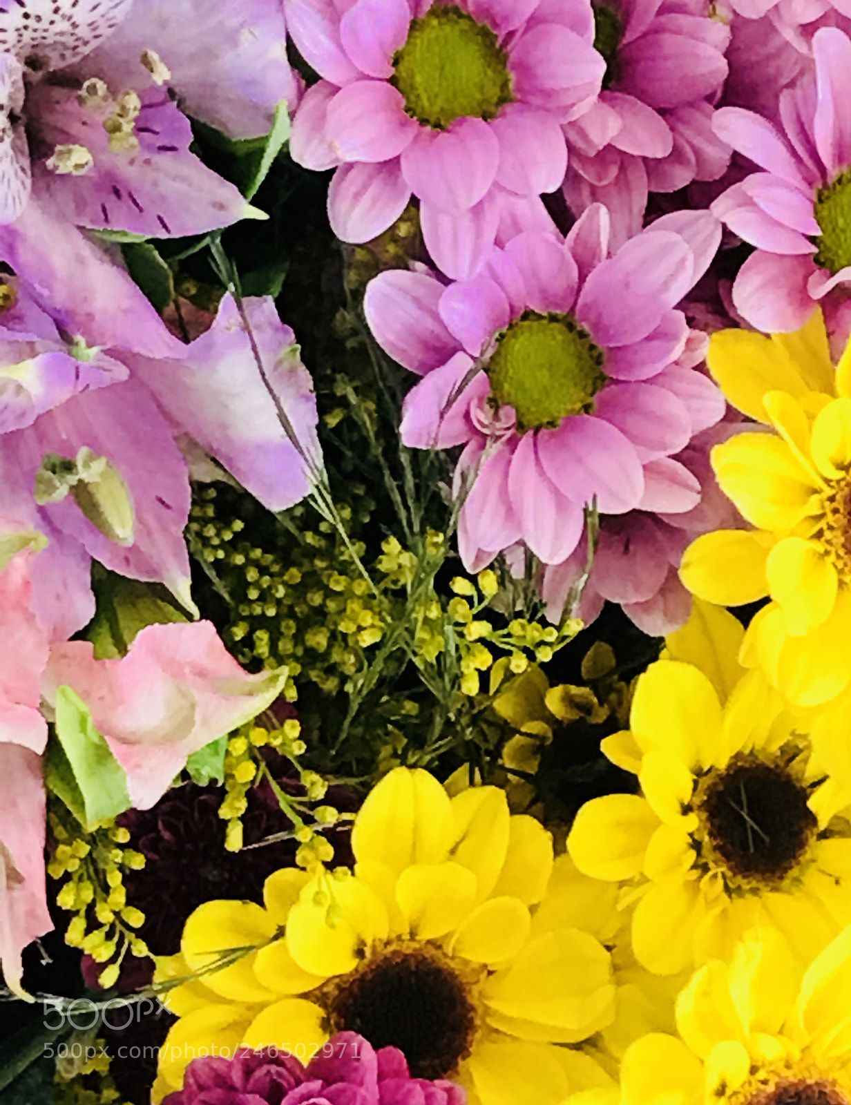 Apple iPhone 7 Plus sample photo. Happy sunday photography
