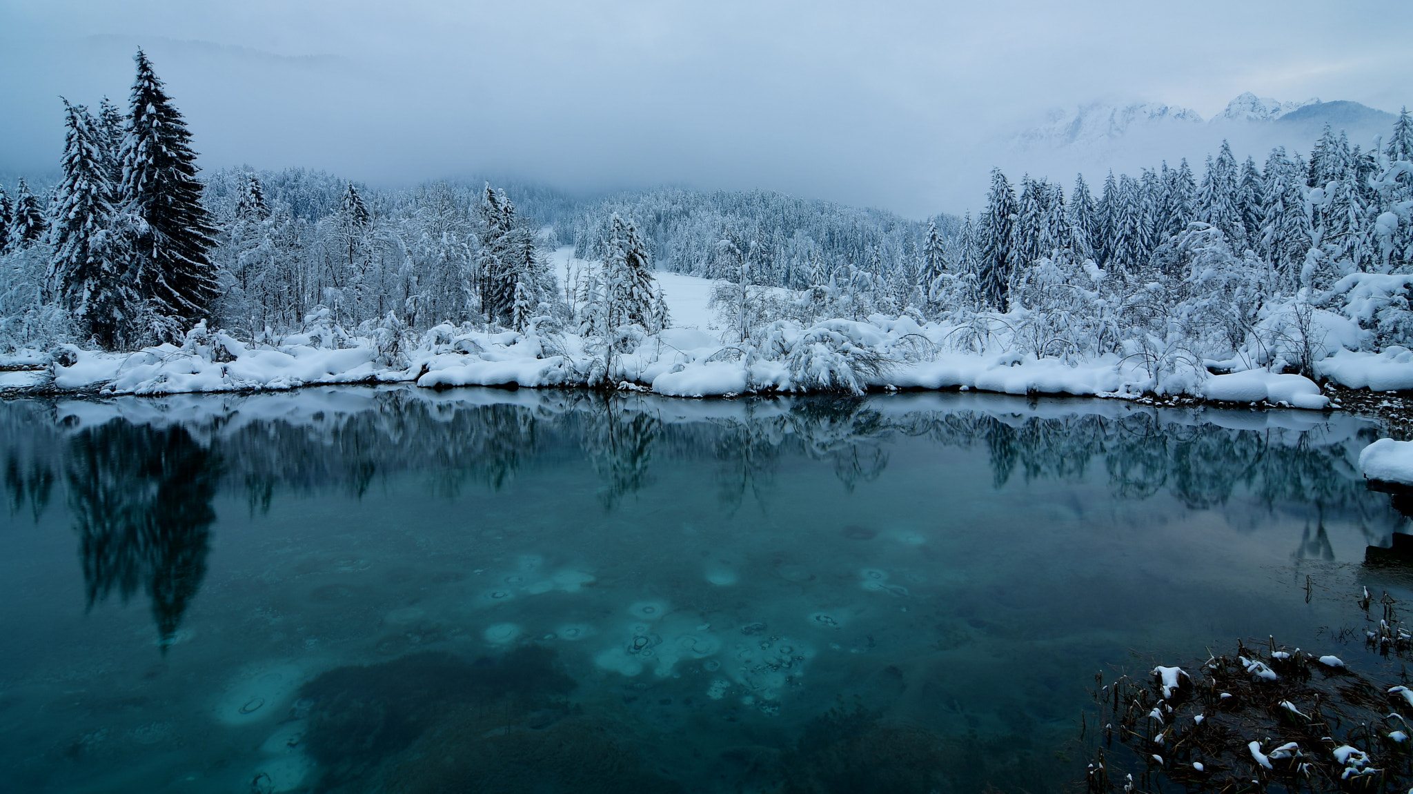 Nikon D500 sample photo. Winter idyll in zelenci photography