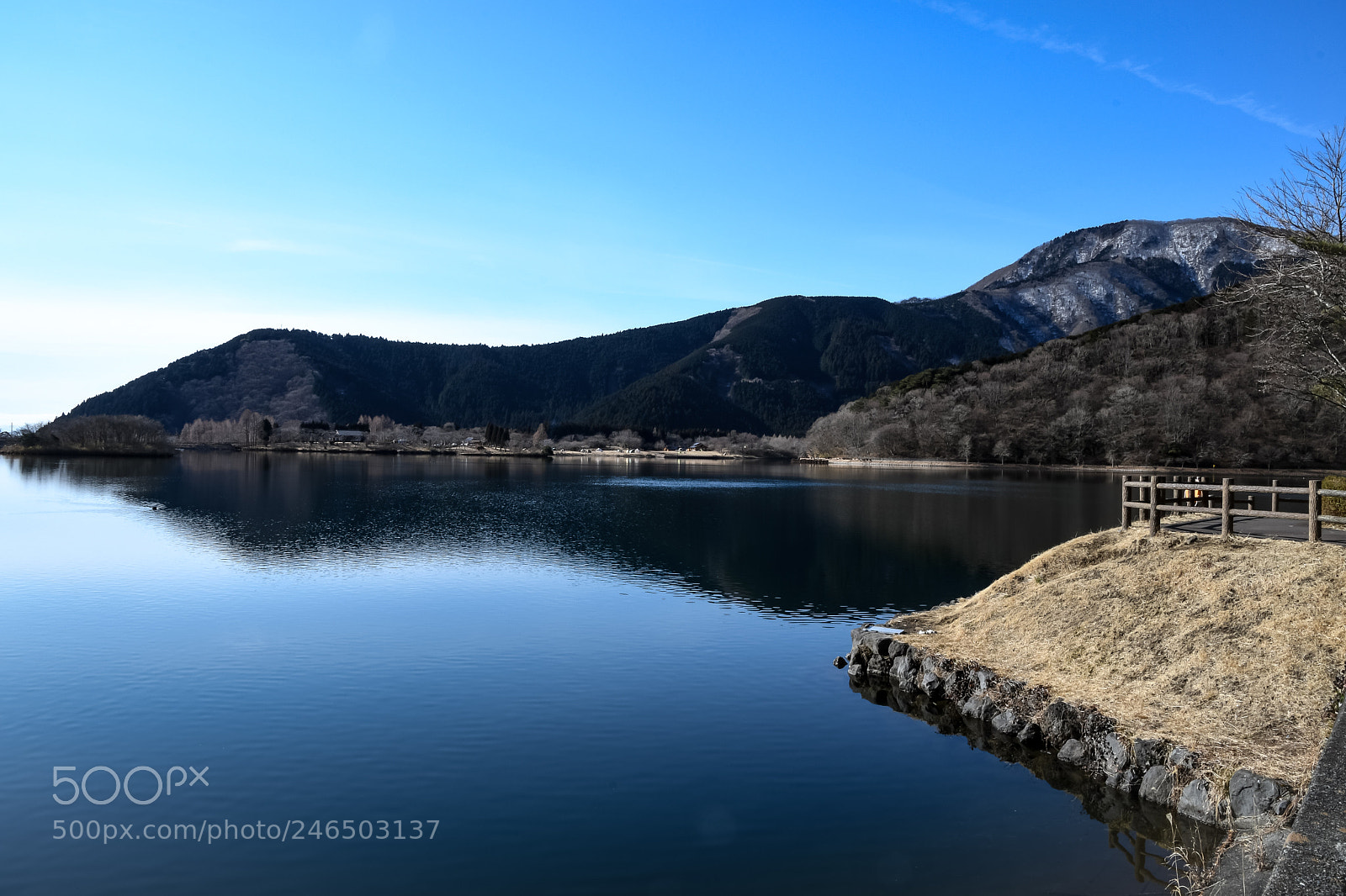 Nikon D500 sample photo. Reflections photography
