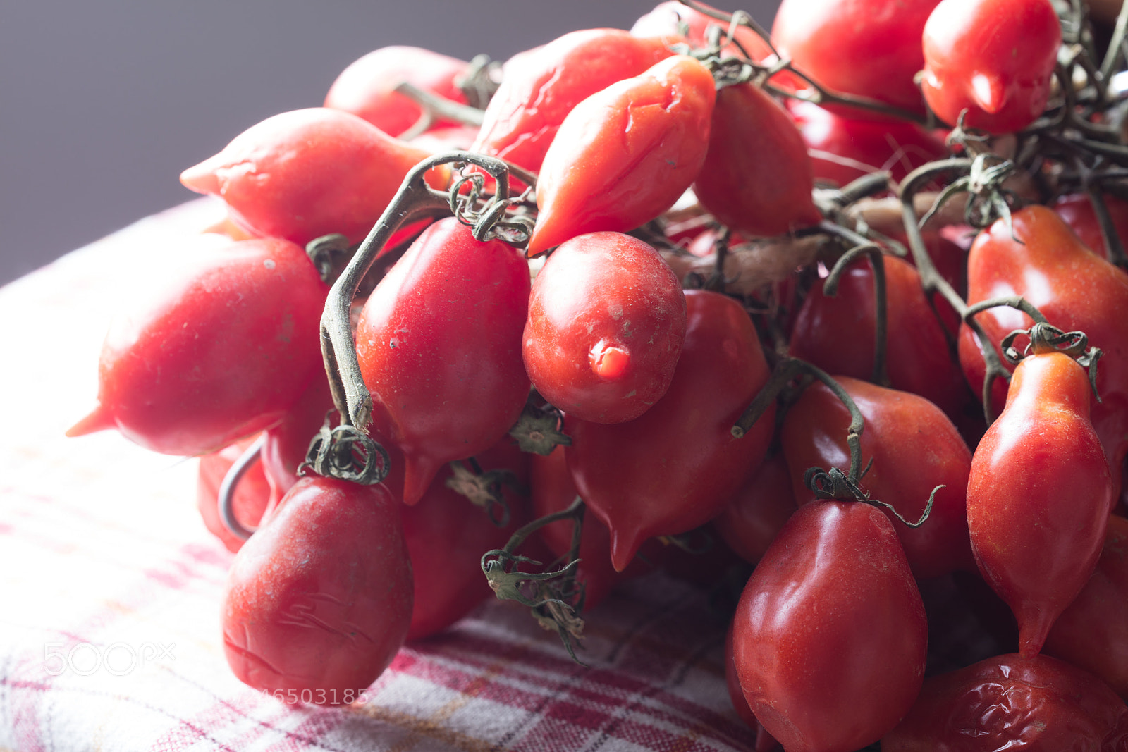 Canon EOS 5DS R sample photo. Tomatoes of vesuvius photography