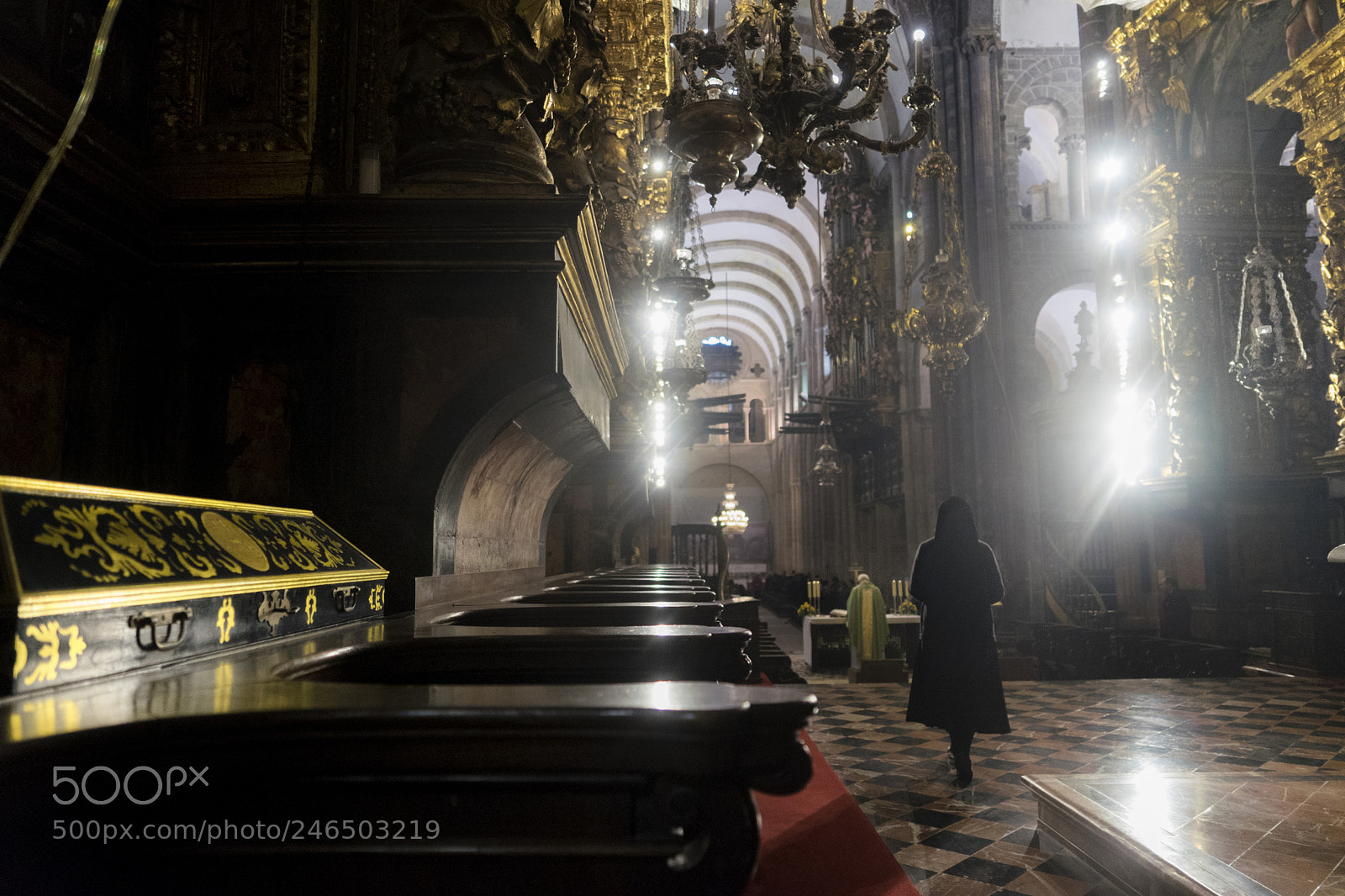 Sony a7 II sample photo. The bearer photography