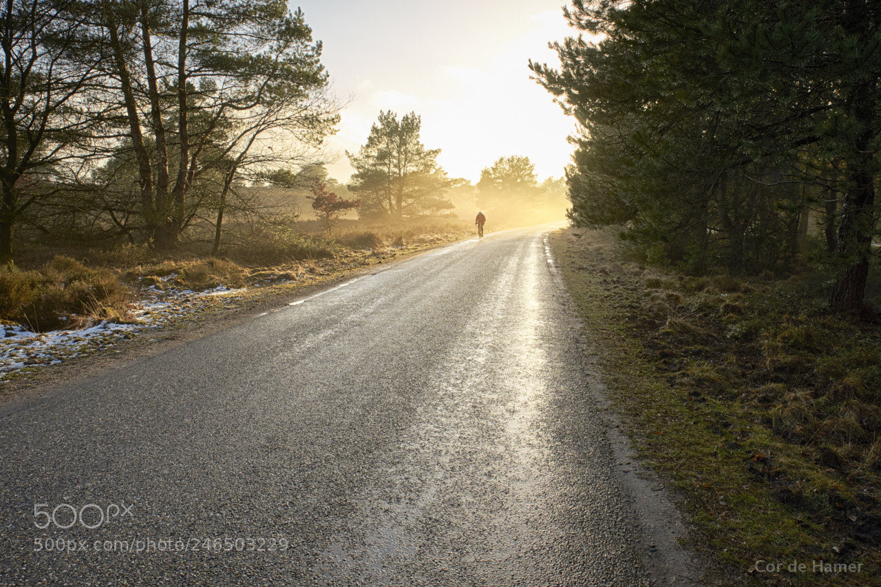 Sony SLT-A99V sample photo. Cyclist comes from the photography