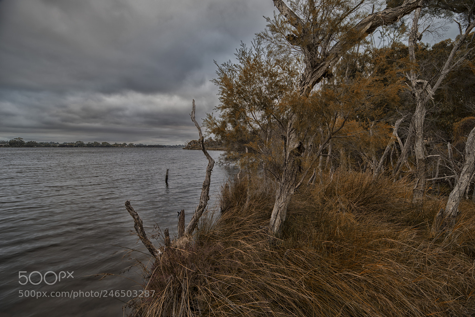 Pentax K-1 sample photo. Salter point photography